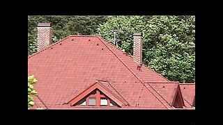 As Regras do Meu Sexo