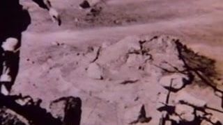 Big Man Ray(pick#1119)