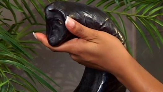 Soberba peituda negra gata recebe seu cu fodido com força depois de tocar no porta-malas